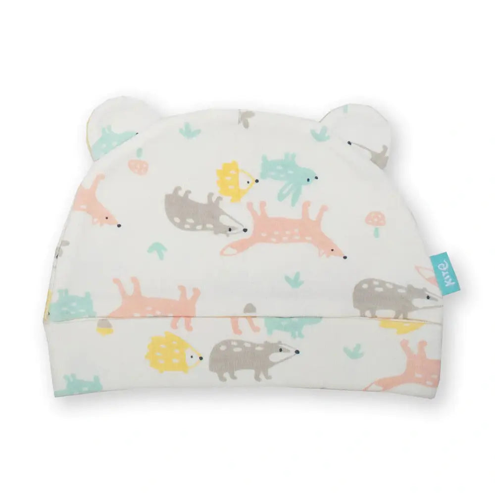 Kite The Journey Hat