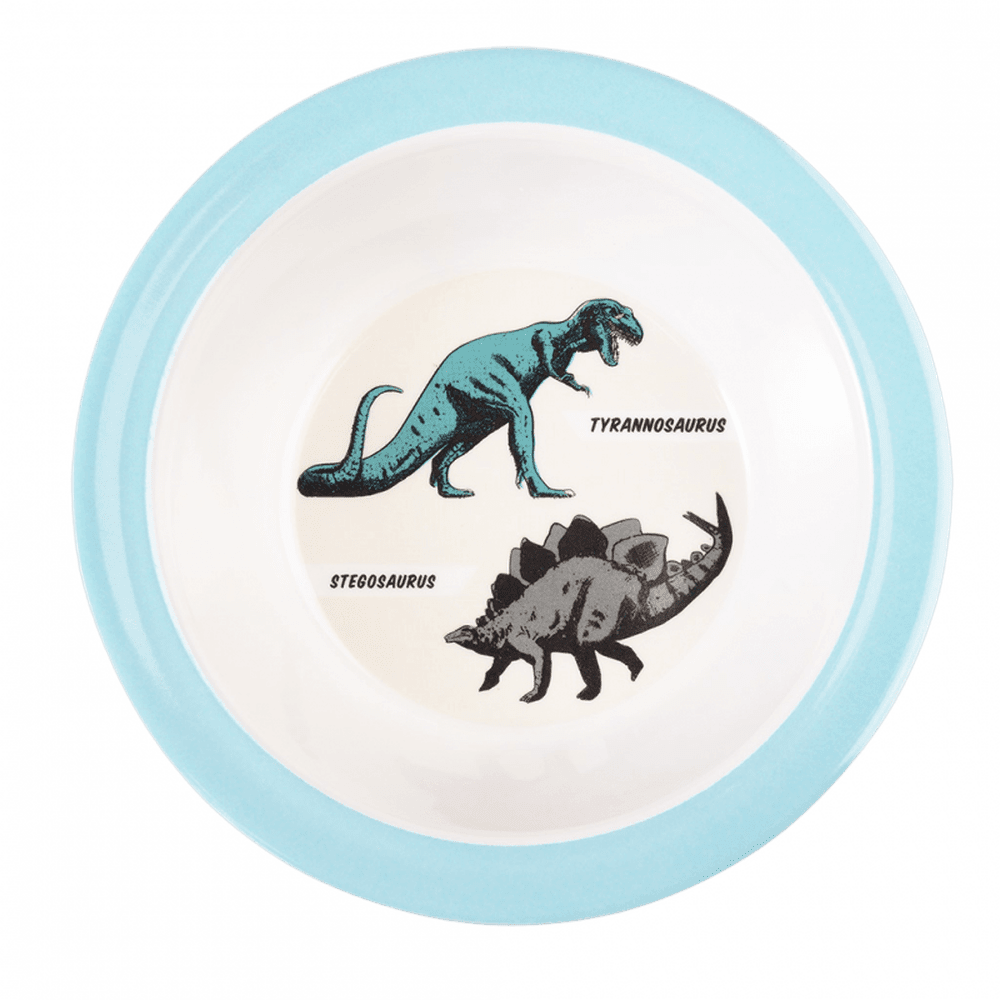 Rex London Melamine Bowl - Prehistoric Land 