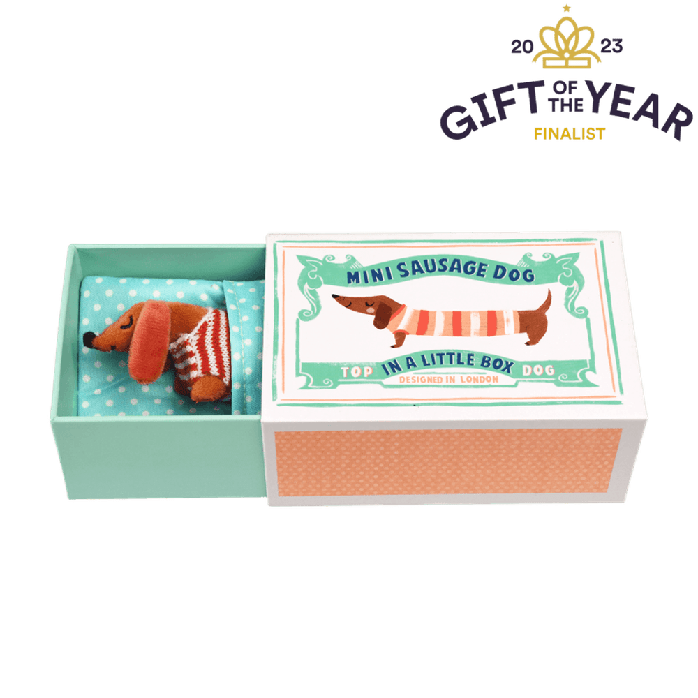 Sausage Dog in a Box 1