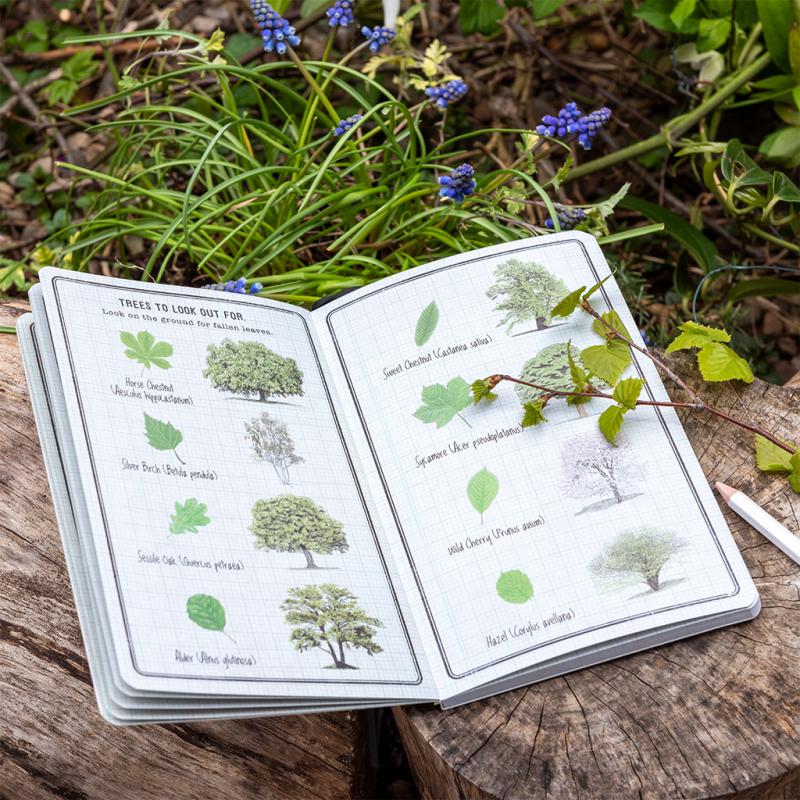 Nature Trail Journal 4