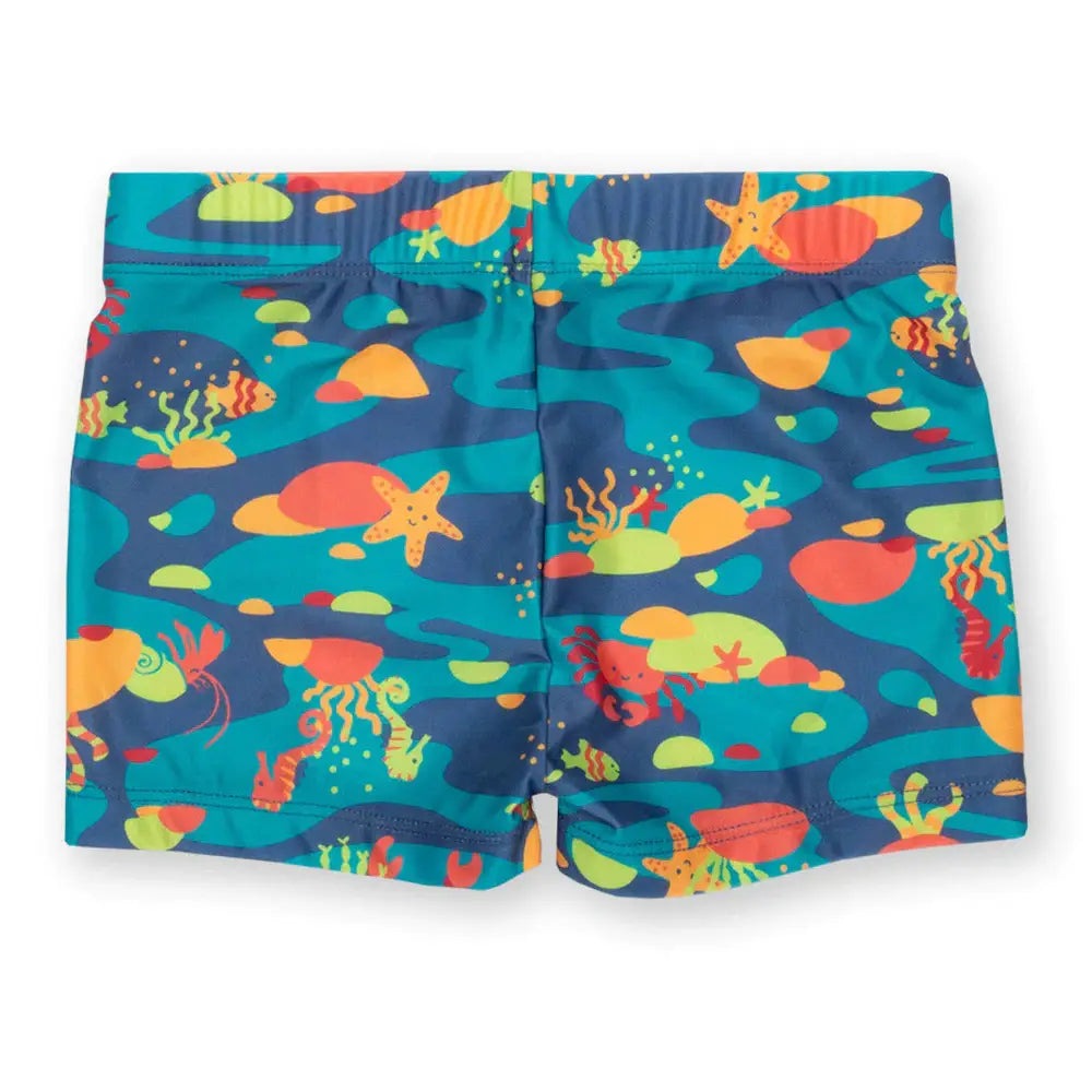 Kite Rock Pool Swim Trunks 