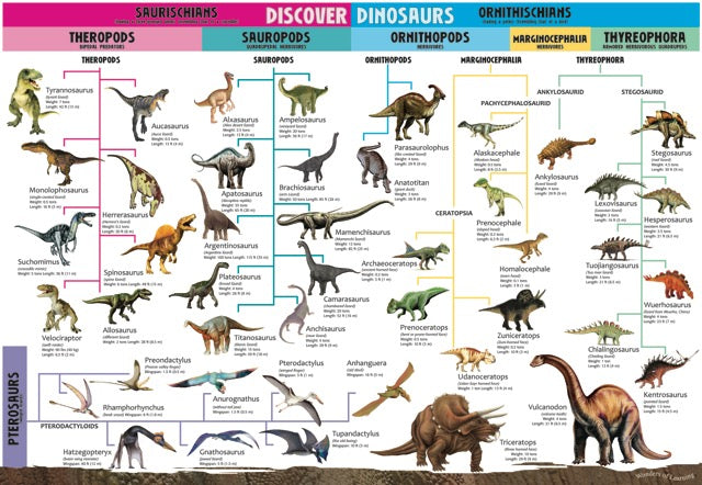 Tin Set - Discover Dinosaurs