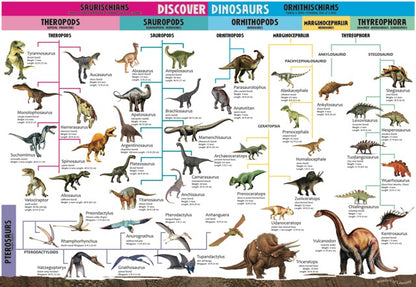 Tin Set - Discover Dinosaurs