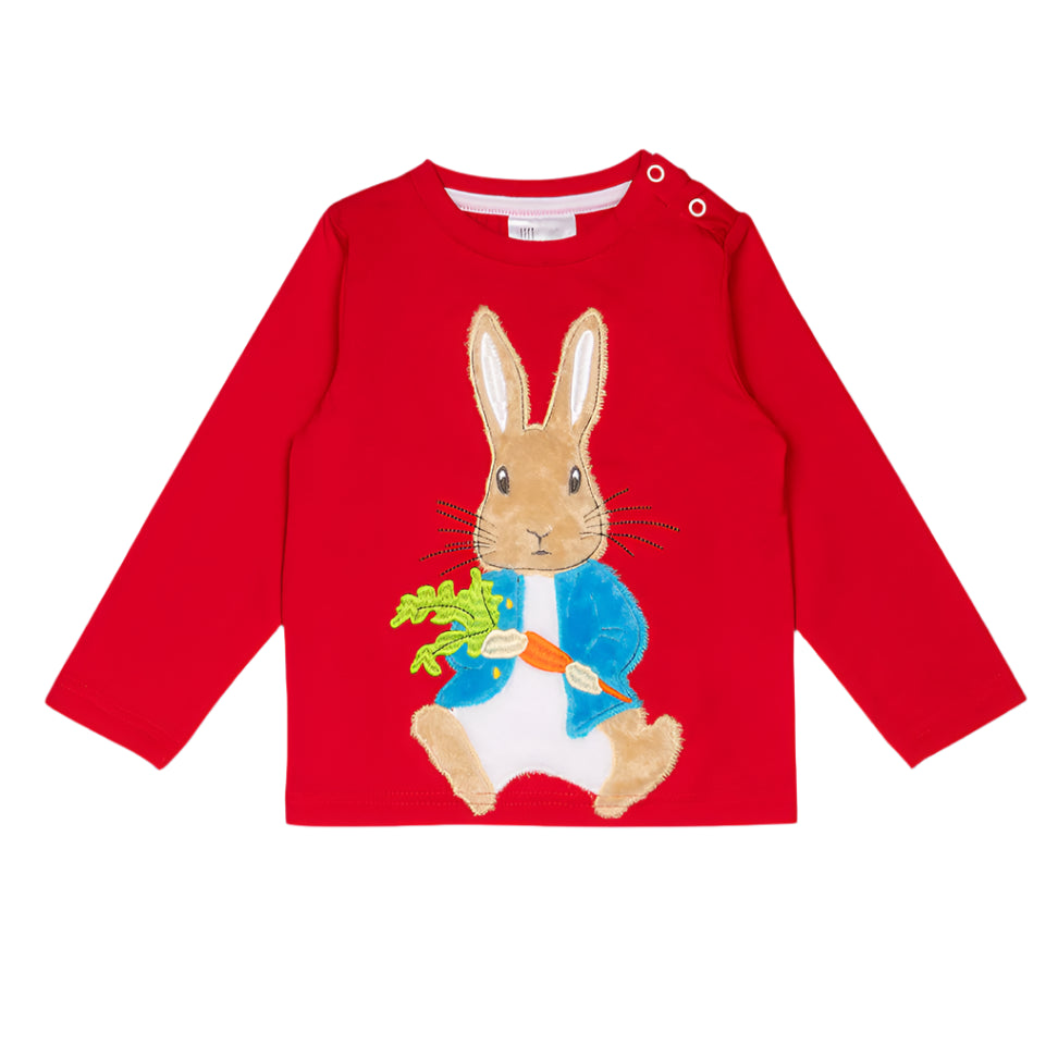 Peter Rabbit Bright Ideas Applique Top 2