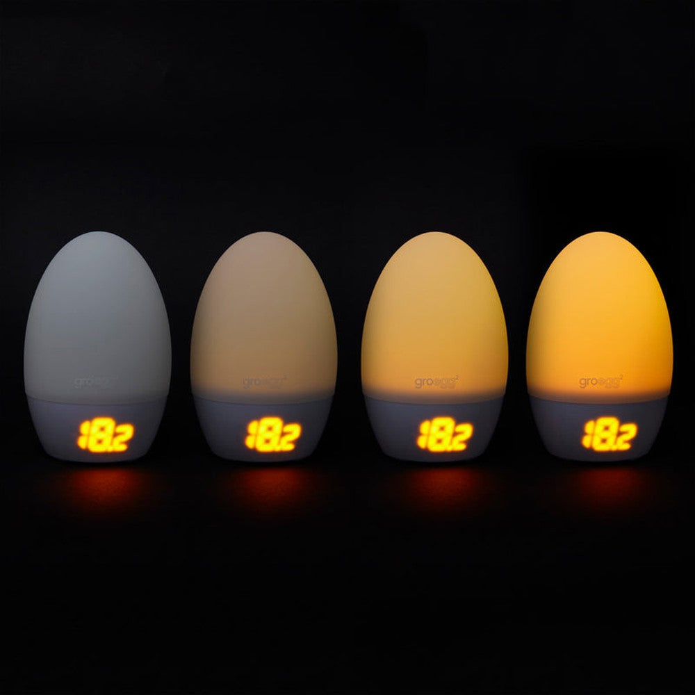 GroEgg2 4