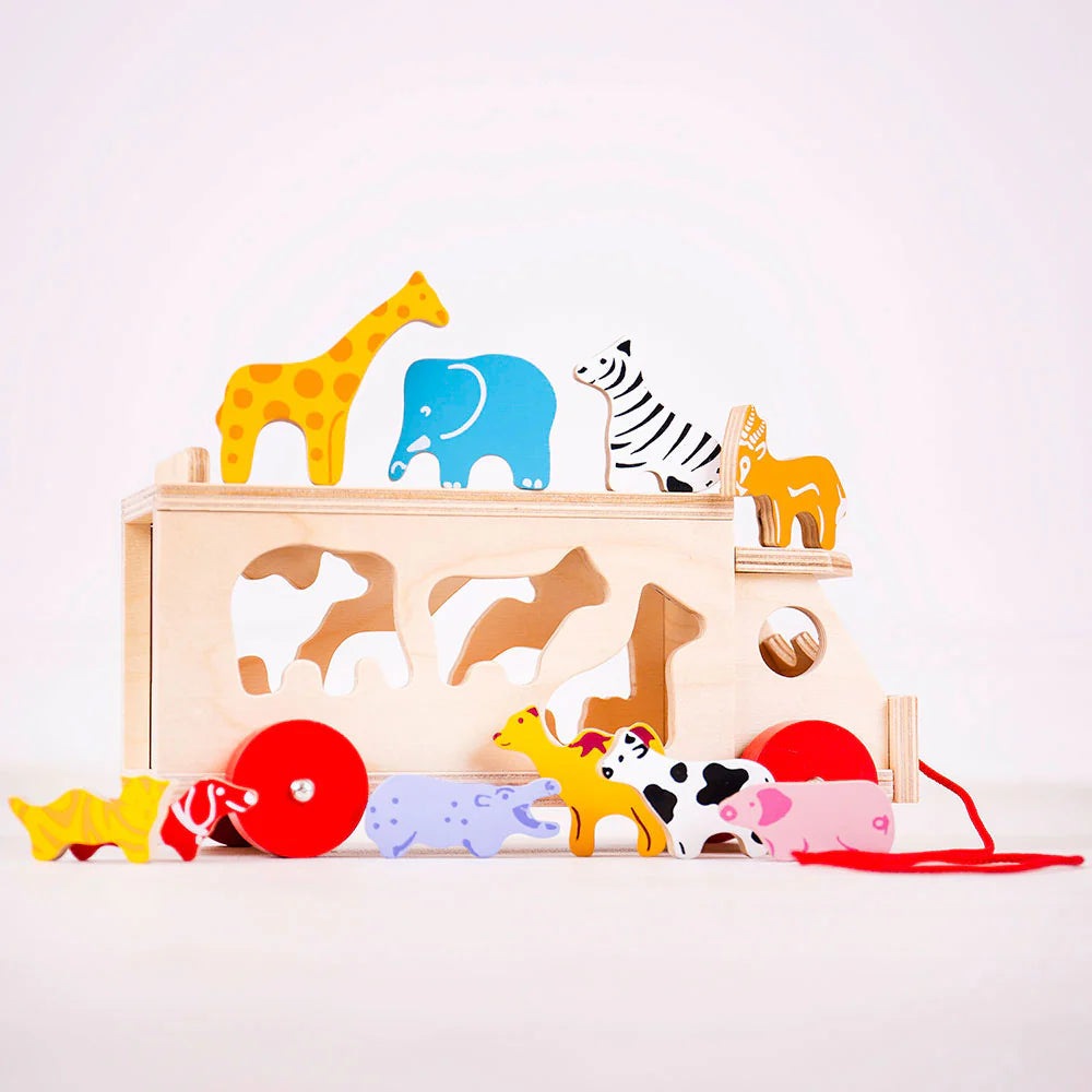 Animal Shape Lorry 3
