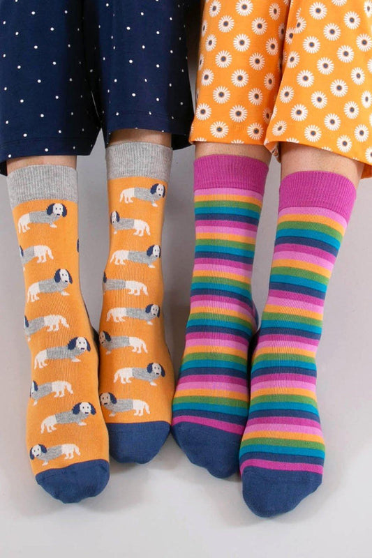 Adult Daxie Stripe Socks