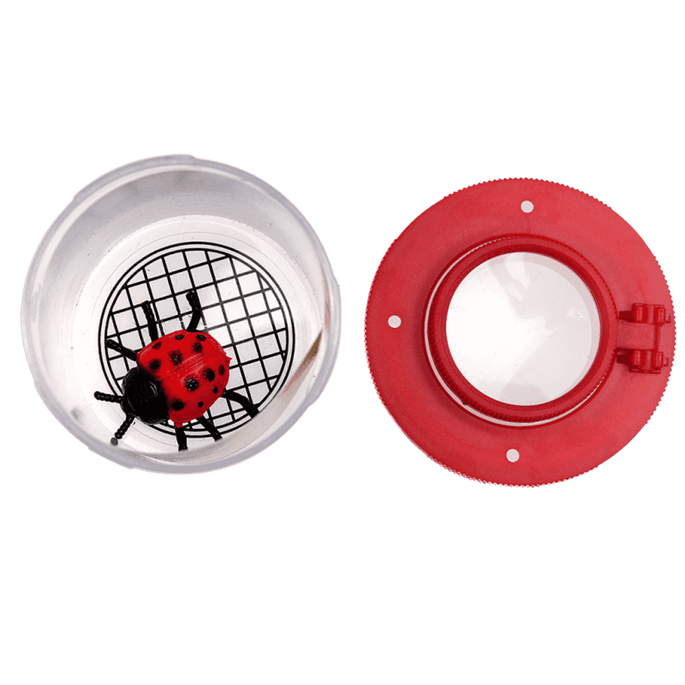 Insect Viewer 4