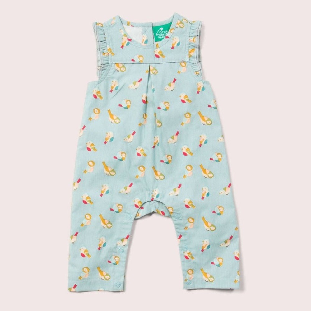 Little Green Radicals Rainbow Birds Frill Summer Romper