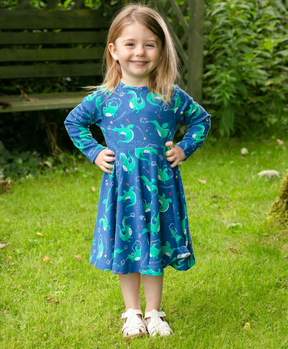 Magical Dragon Skater Dress 3