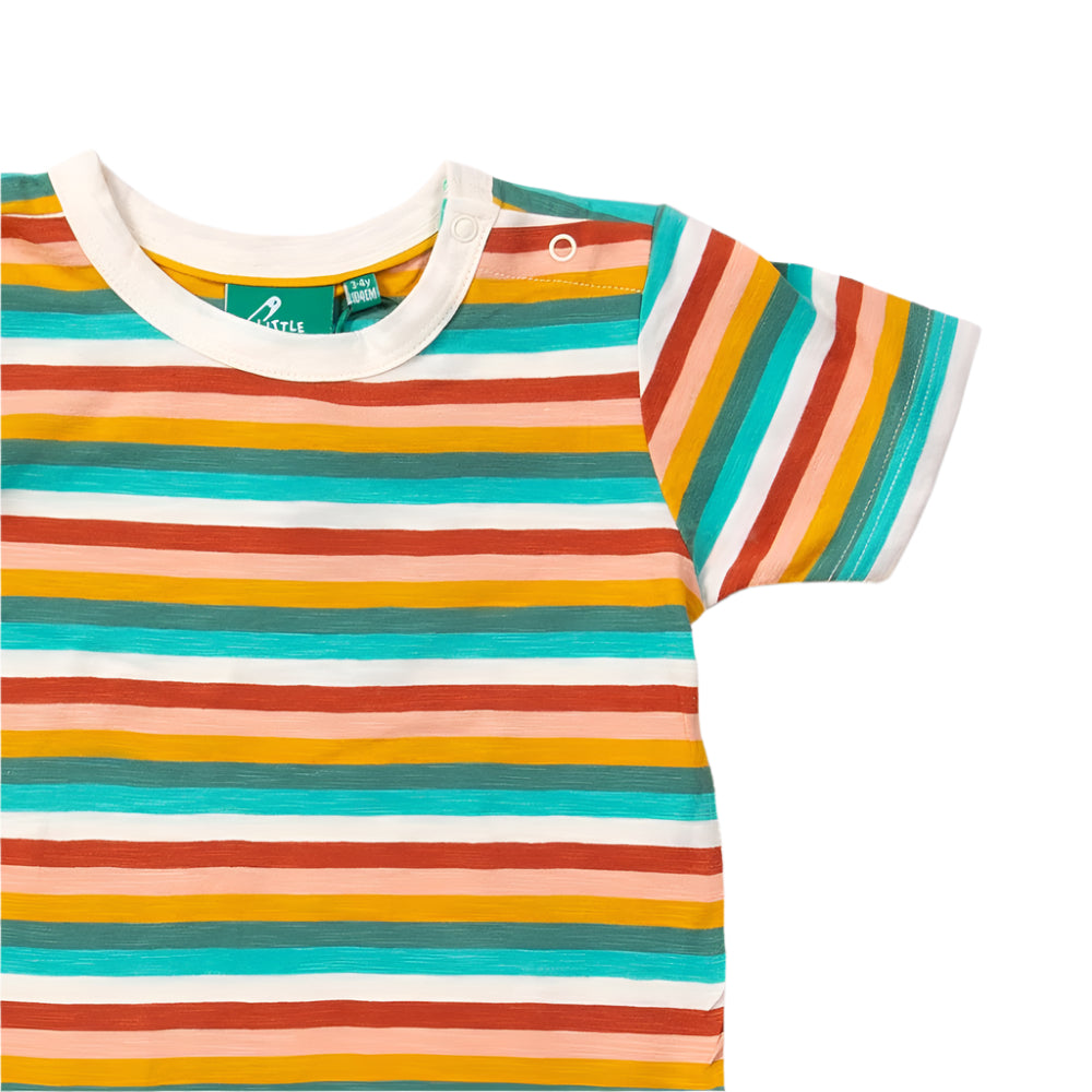 Rainbow Striped Summer Short Sleeve T-Shirt 6