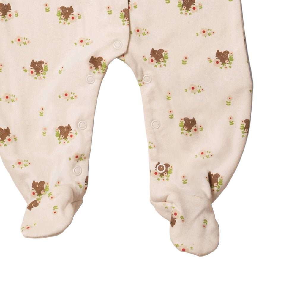Little Green Radicals Autumn Squirrel Babygrow 