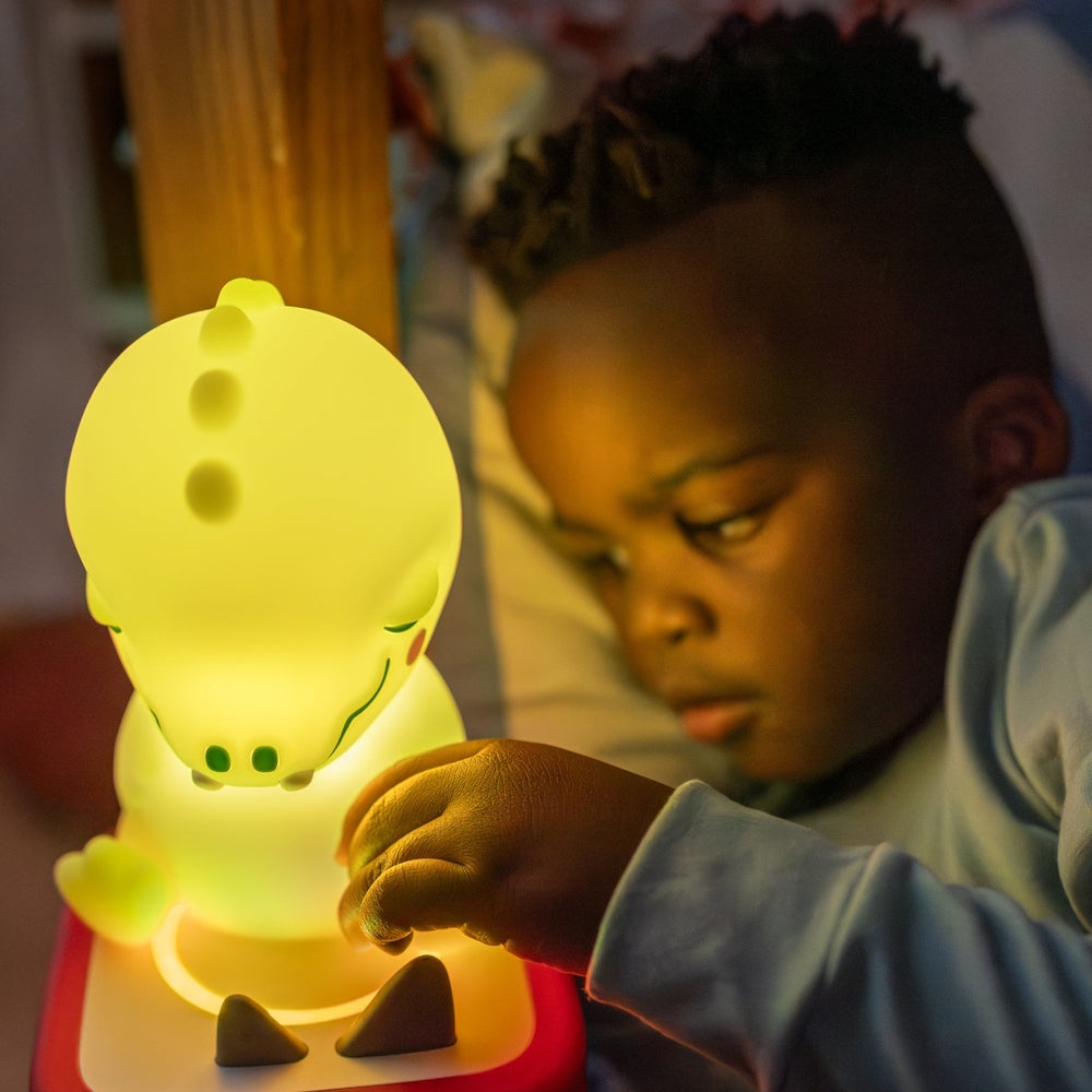Sleepy Crocodile Night Light 2
