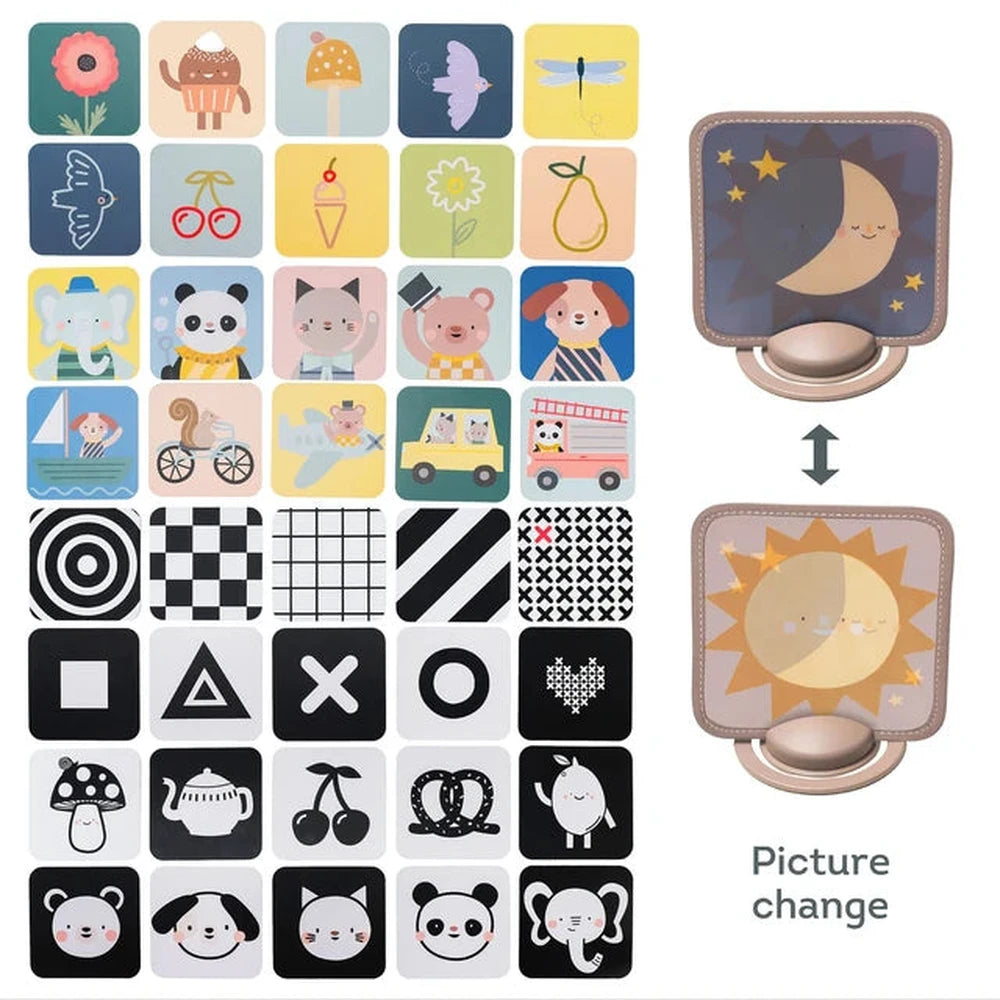 My 1st Discoveries Flash Cards 2