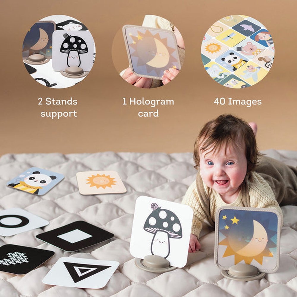 My 1st Discoveries Flash Cards 4