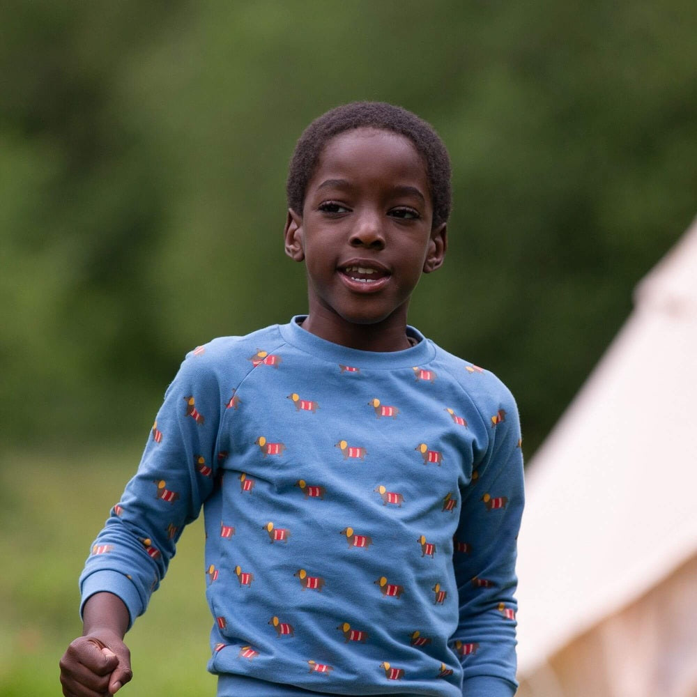 Sausage Dogs Raglan Sweatshirt 1