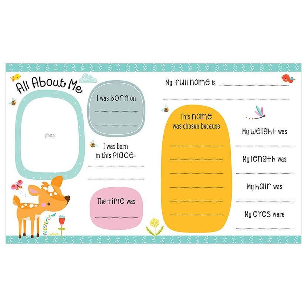 Petite Boutique My Baby Record Book 2