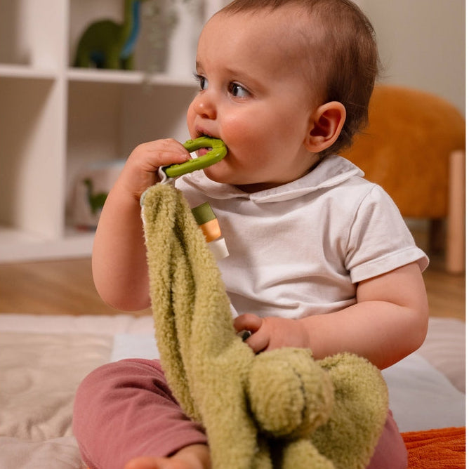 Little Big Friends Rex the Tyrannosaurus Comforter 2