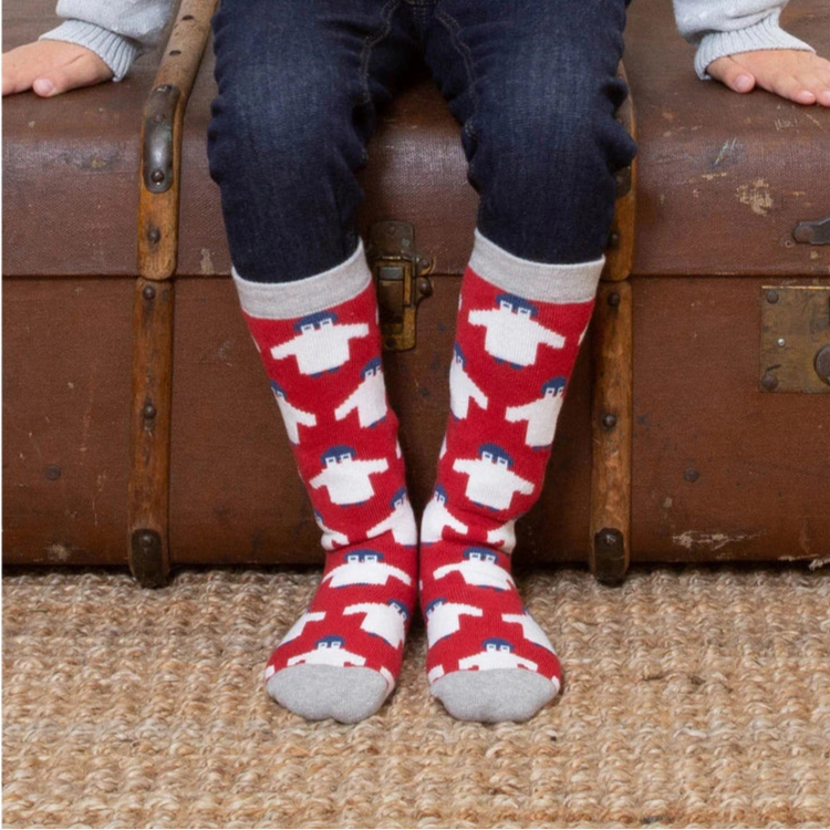 STOCK CHECK NEEDED - INCLUDES OLD STOCK Polar Pals Cosy Socks 2