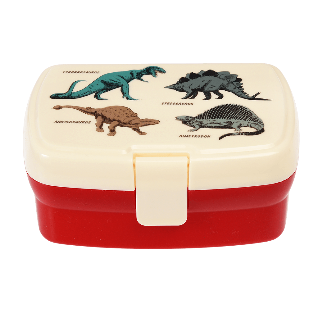 Lunch Box with tray - Prehistoric Land 1