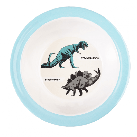 Rex London Melamine Bowl - Prehistoric Land 