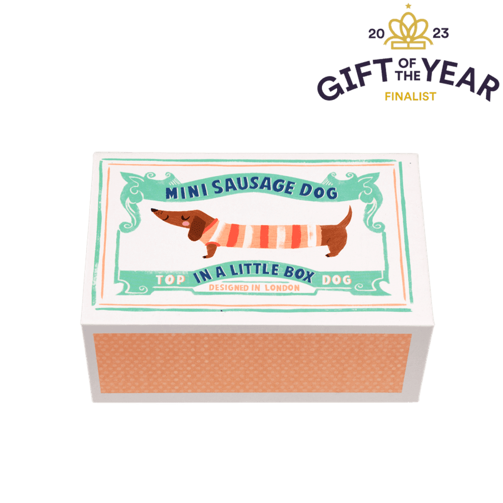 Sausage Dog in a Box 4