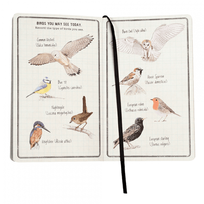 Nature Trail Journal