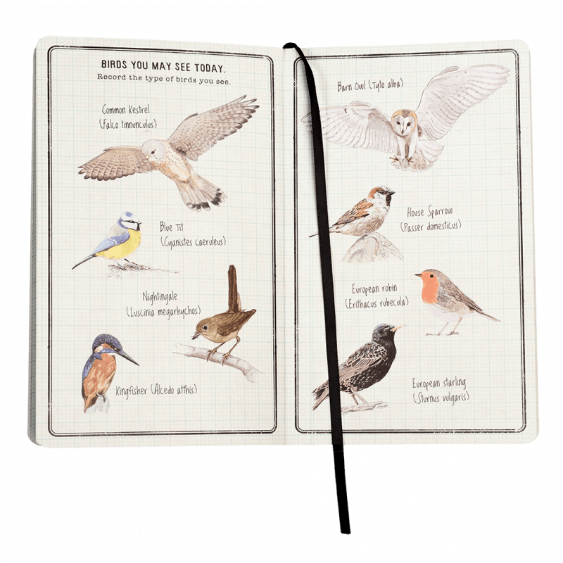 Nature Trail Journal 3