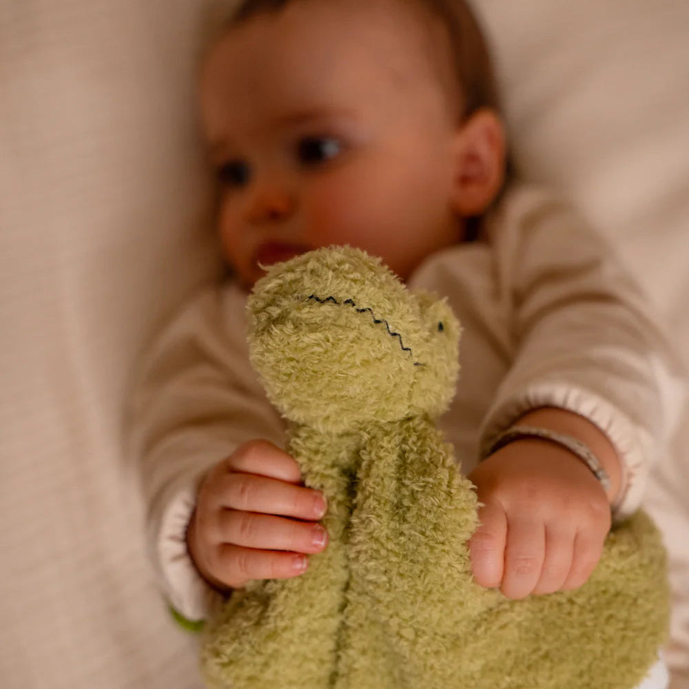 Rex the Tyrannosaurus Comforter 2