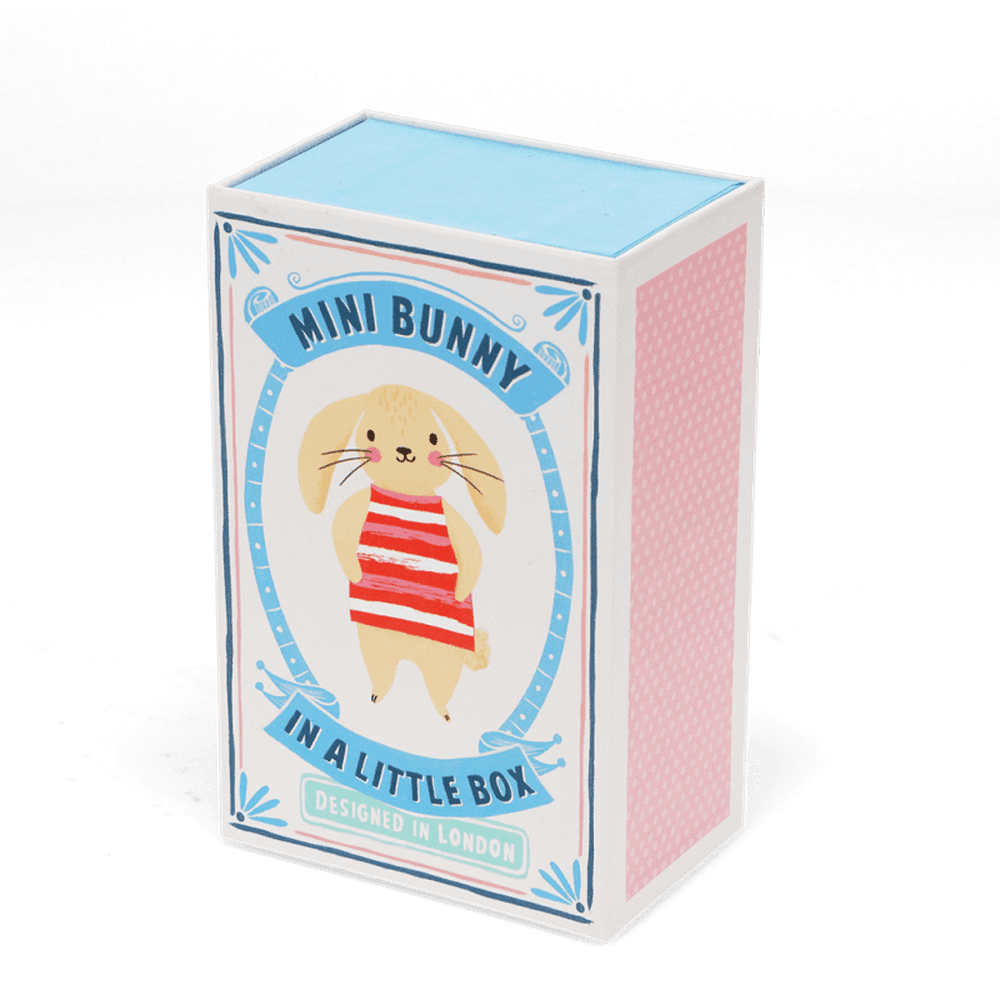 Mini Bunny in a Box 3