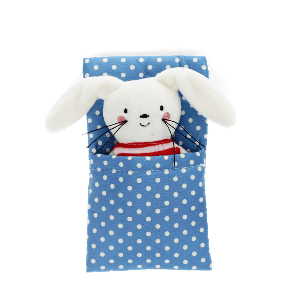 Mini Bunny in a Box 2