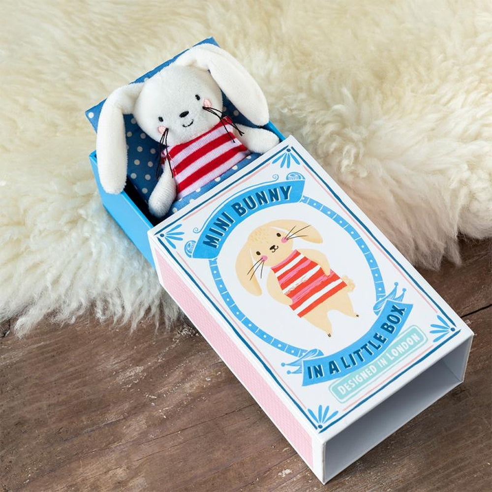 Mini Bunny in a Box 4