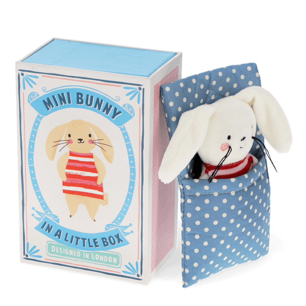 Mini Bunny in a Box 1