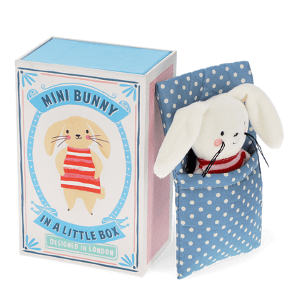 Mini Bunny in a Box 1