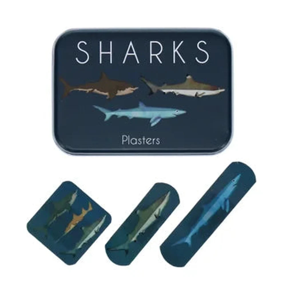 Plasters in a Tin - Sharks 1