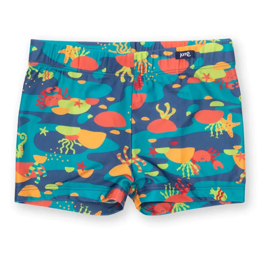 Kite Rock Pool Swim Trunks 