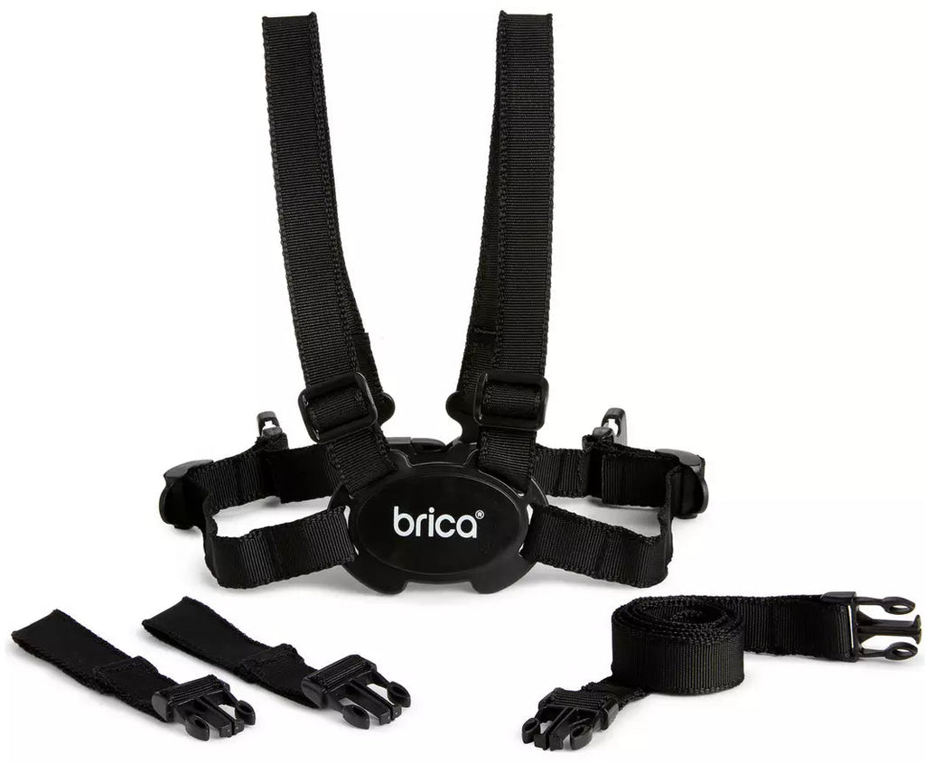 Walking Harness - Black 1