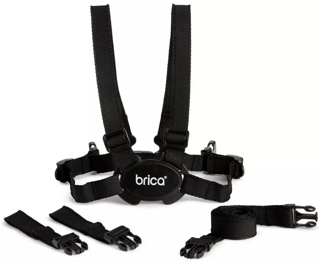 Walking Harness - Black 1