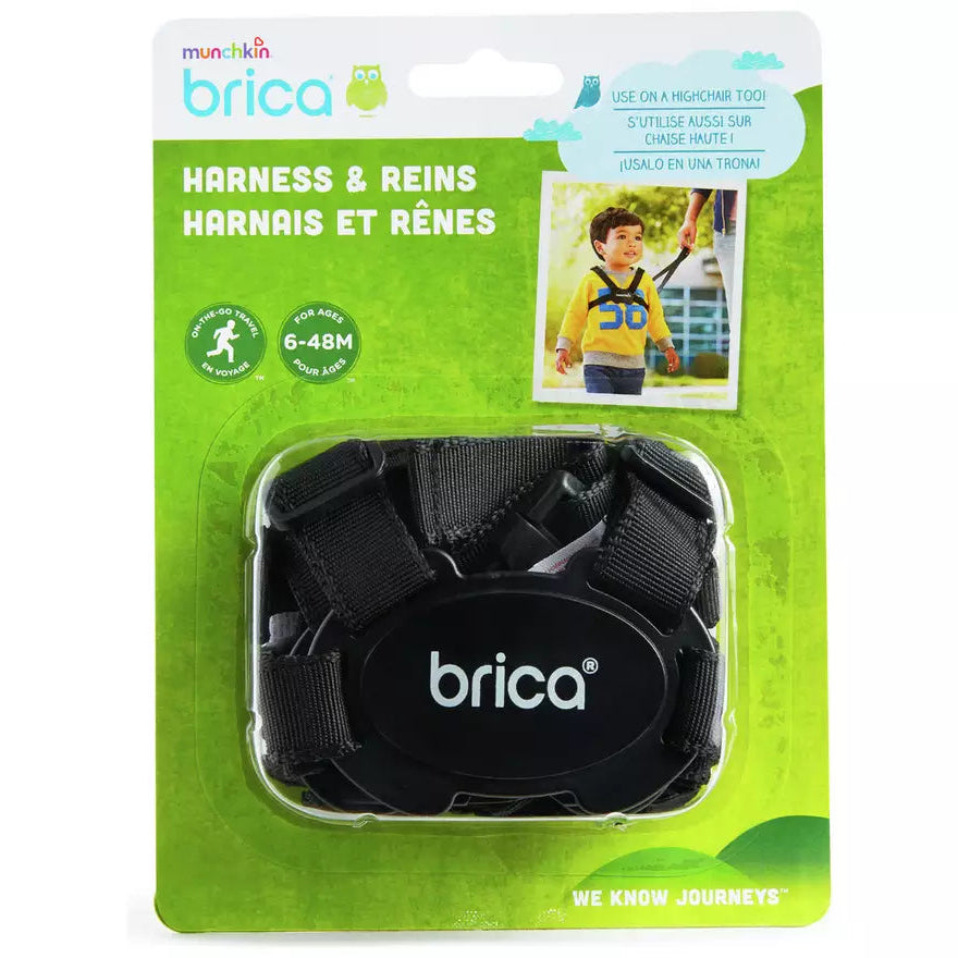 Walking Harness - Black 2