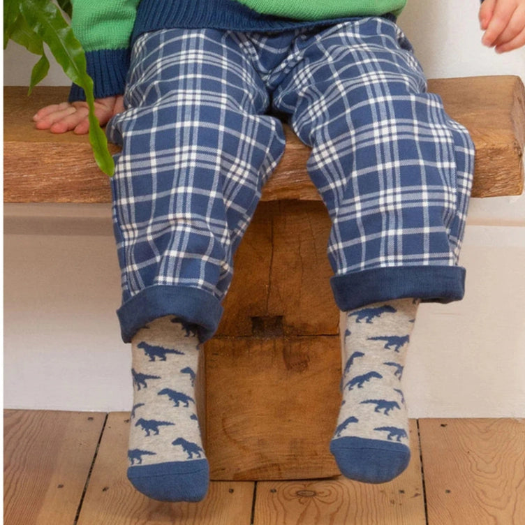Dino Socks 2