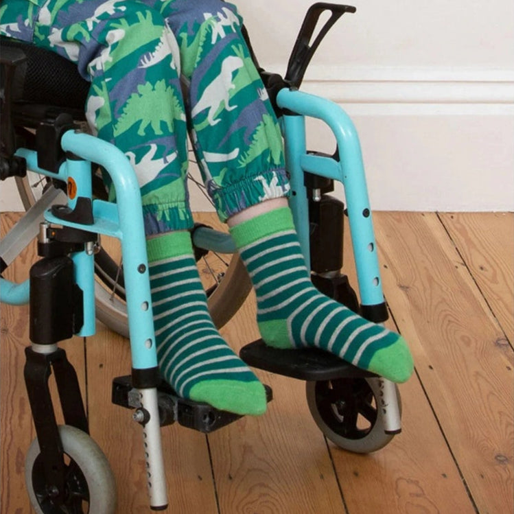 Dino Socks 3