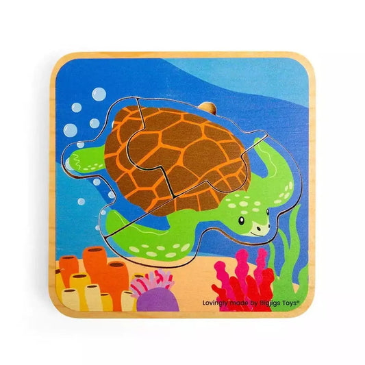 Lifecycle Layer Puzzle - Turtle 1