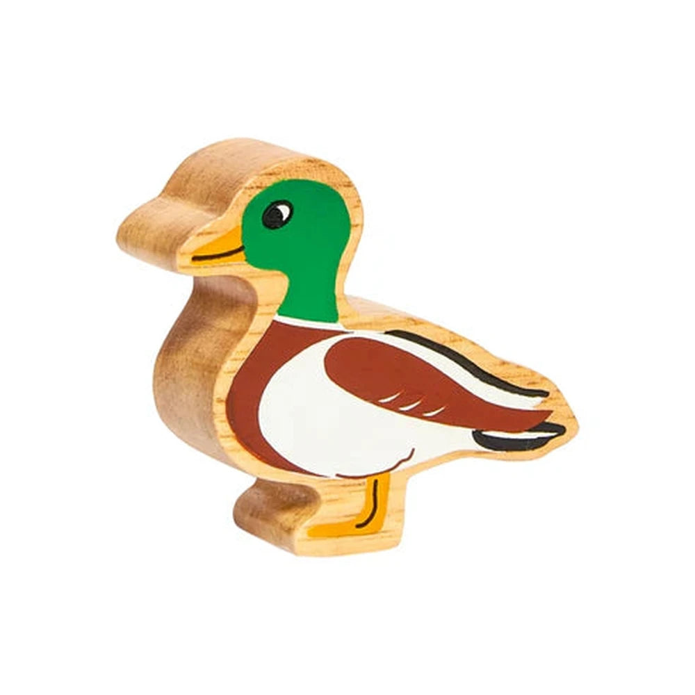 Duck Figure 1
