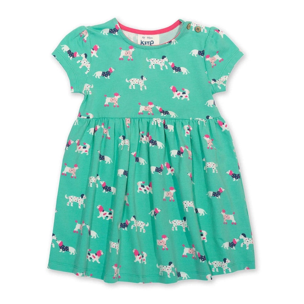 Flora And Friends Dress 1