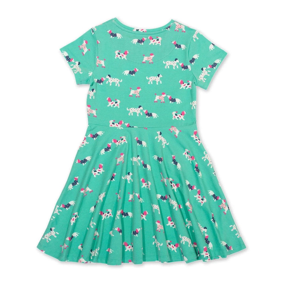 Flora And Friend Skater Dress 4