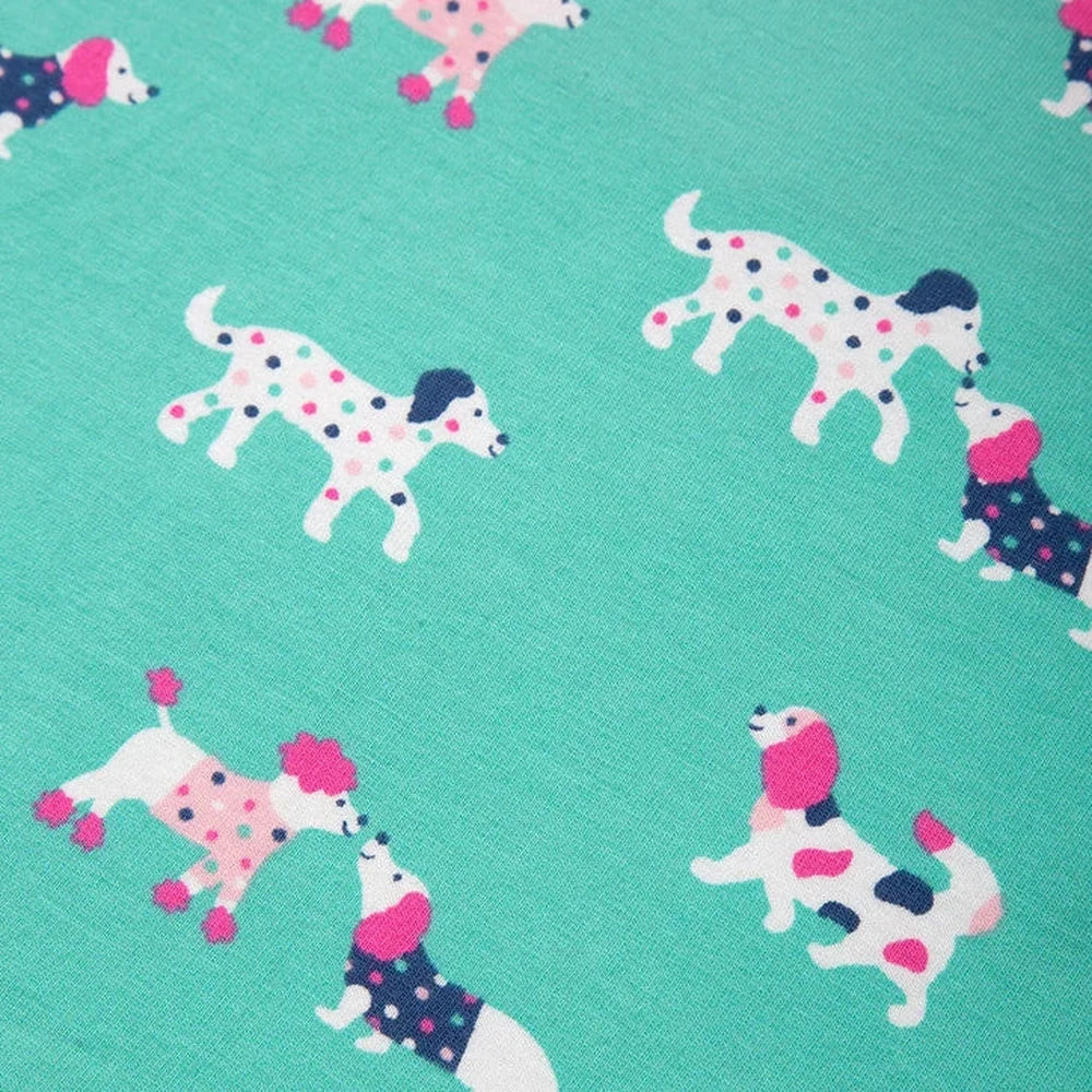 Flora And Friend Skater Dress 3