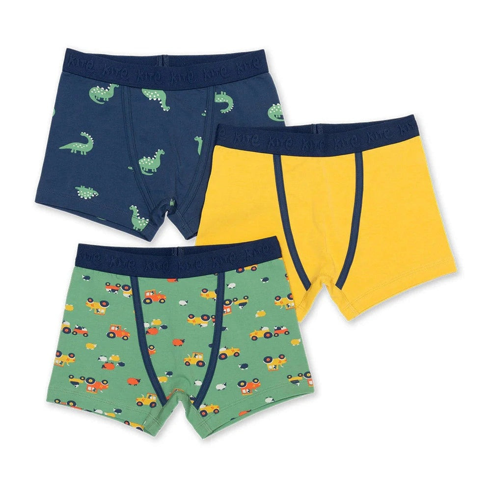 Spot The Dino Trunks 1