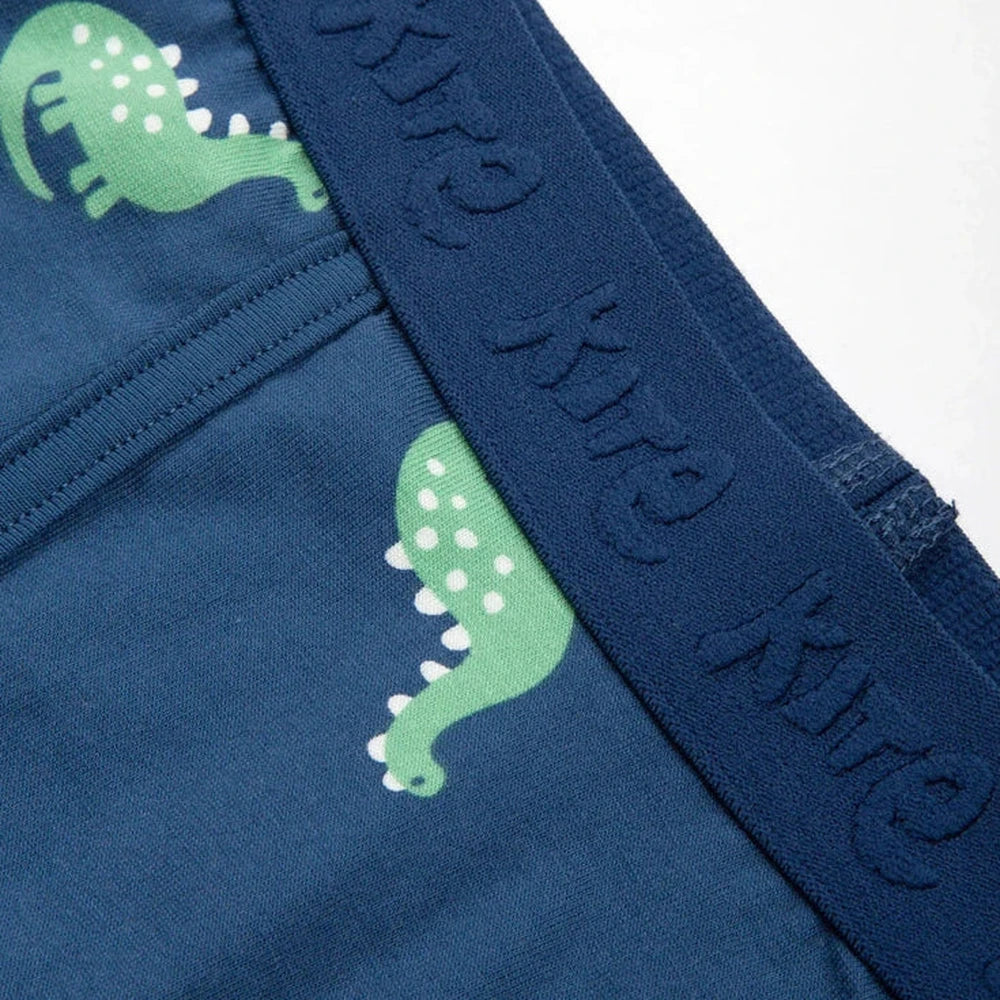 Spot The Dino Trunks 3