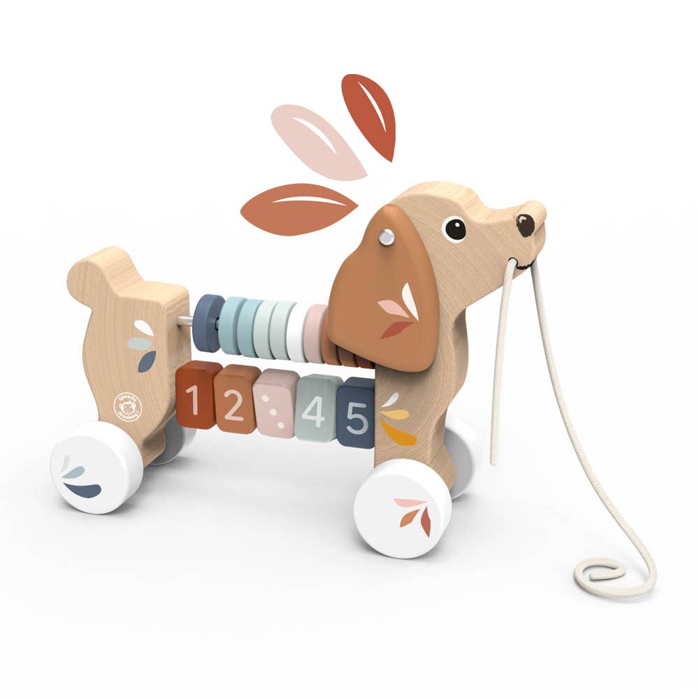 Speedy Monkey Puppy pull along 2