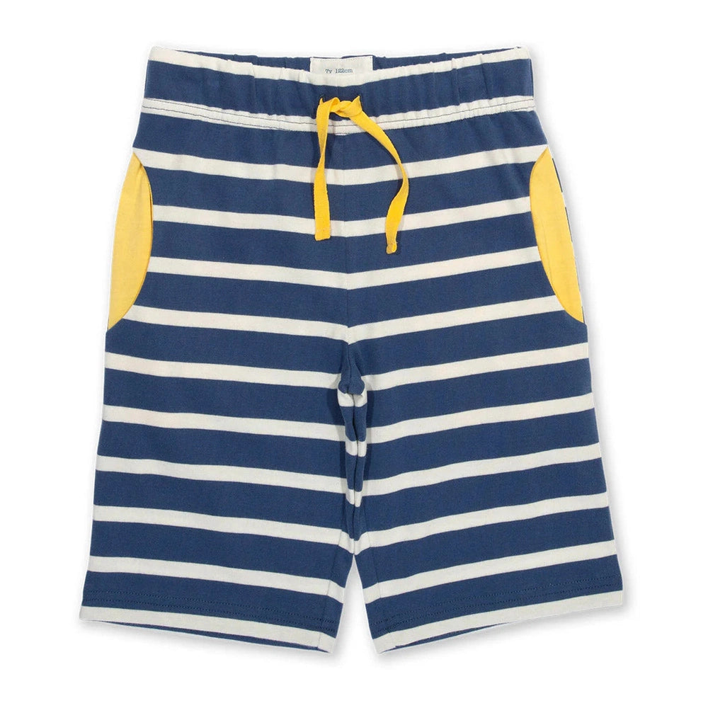 Corfe Shorts - Navy 1